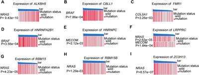 Identification of an m6A Regulators-Mediated Prognosis Signature For Survival Prediction and Its Relevance to Immune Infiltration in Melanoma